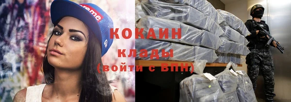 тгк Михайлов