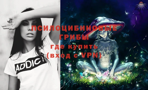 стаф Надым