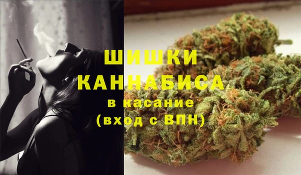 амф Михайловск