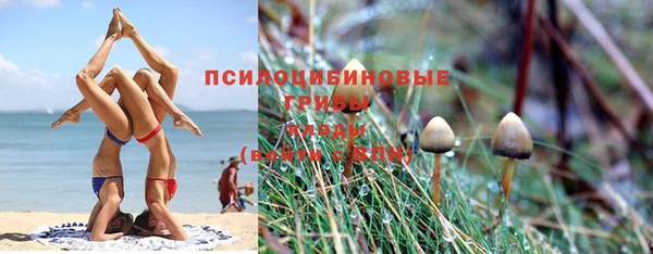 стаф Надым