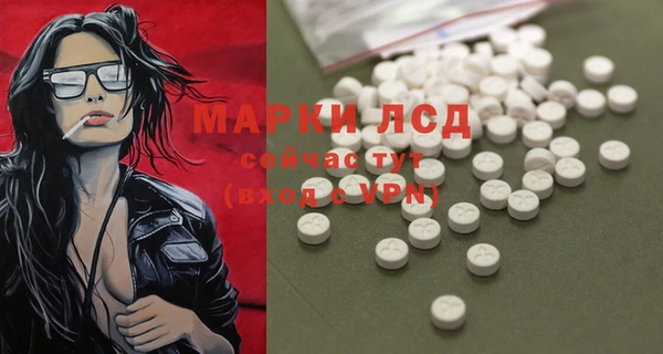 стаф Надым