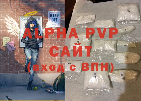 стаф Надым