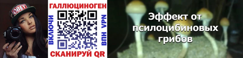 Псилоцибиновые грибы прущие грибы  Челябинск 